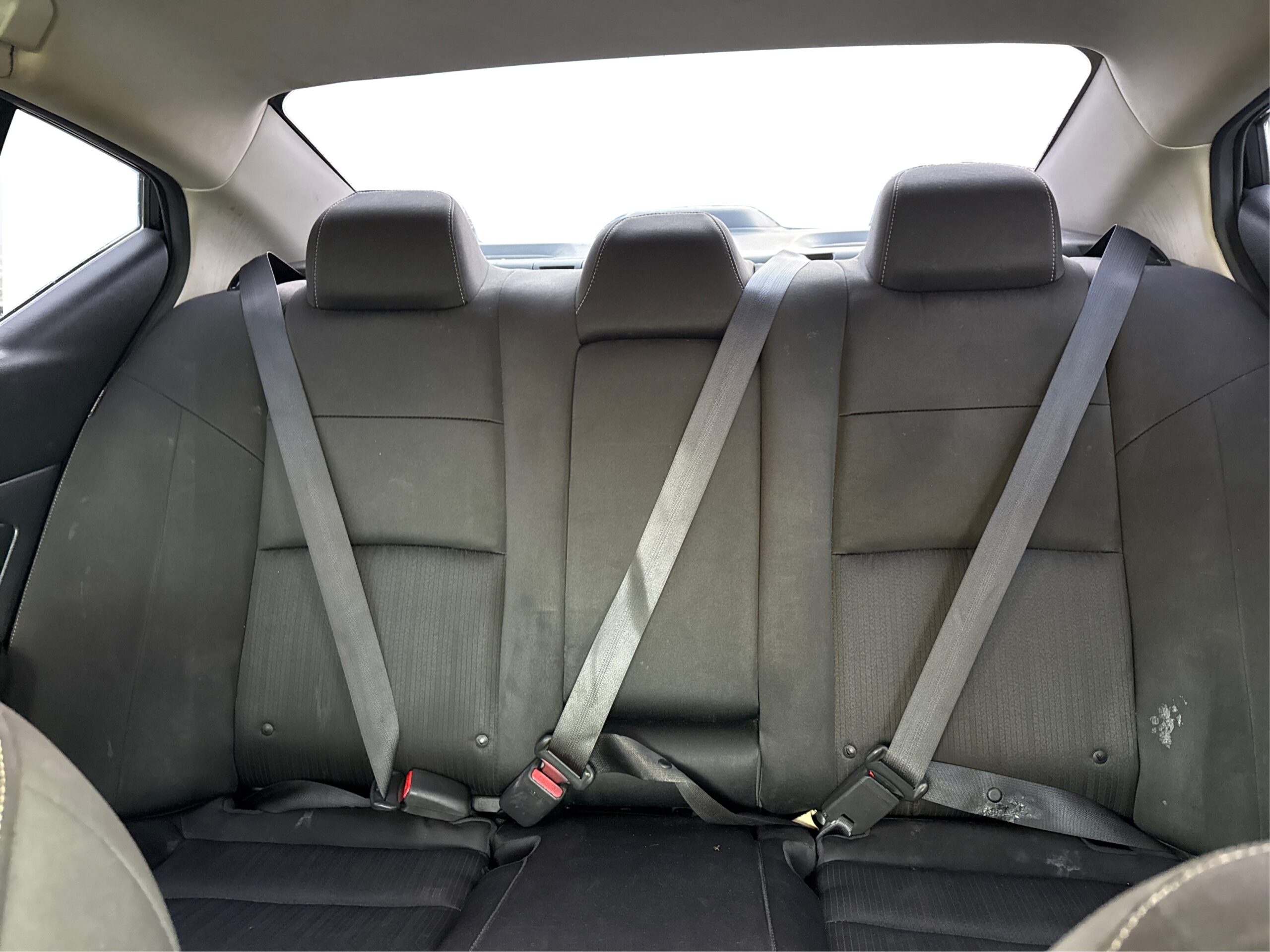 2_white_1763756292_in_001_2