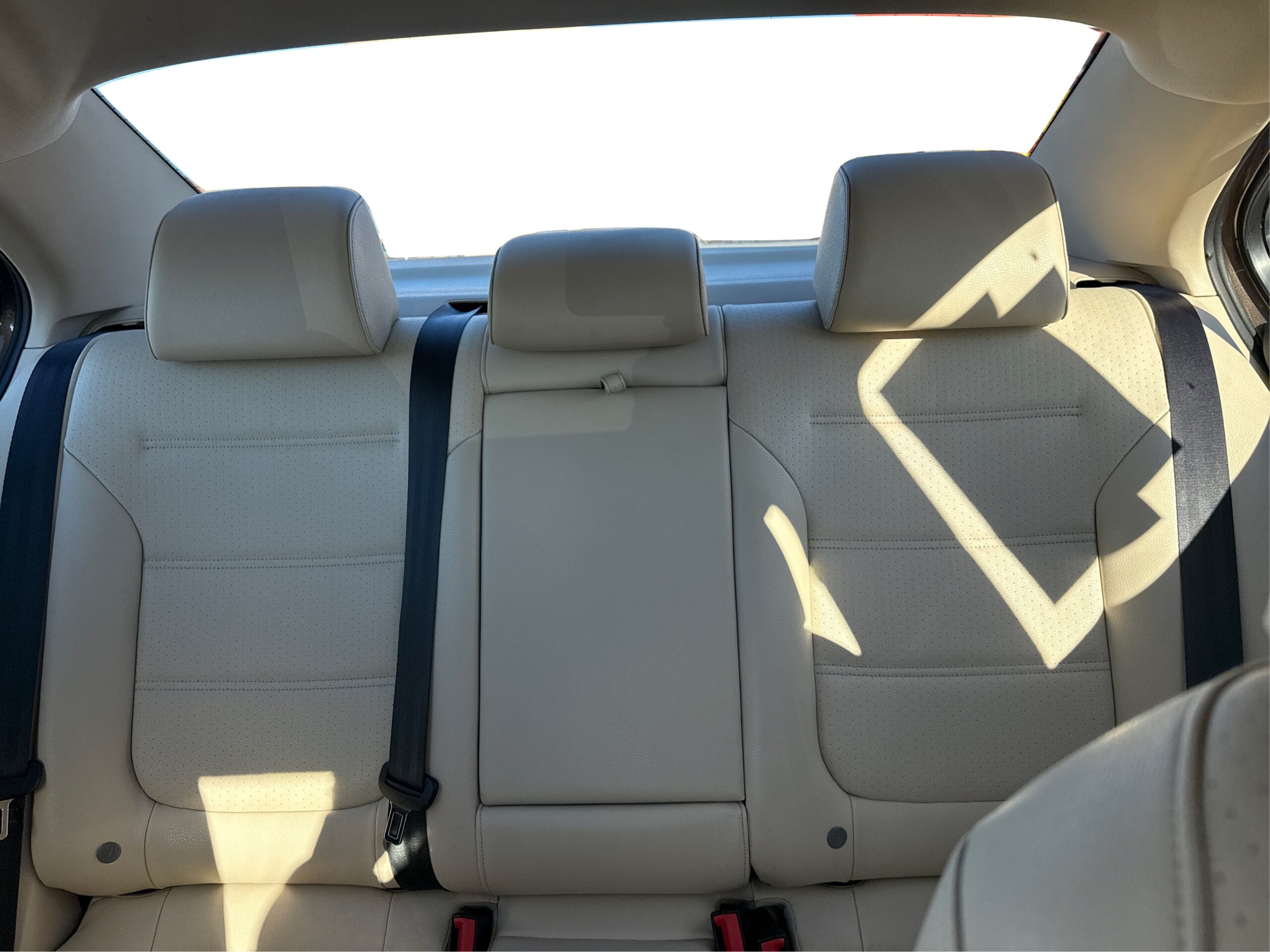 2_white_1764011393_in_001_2