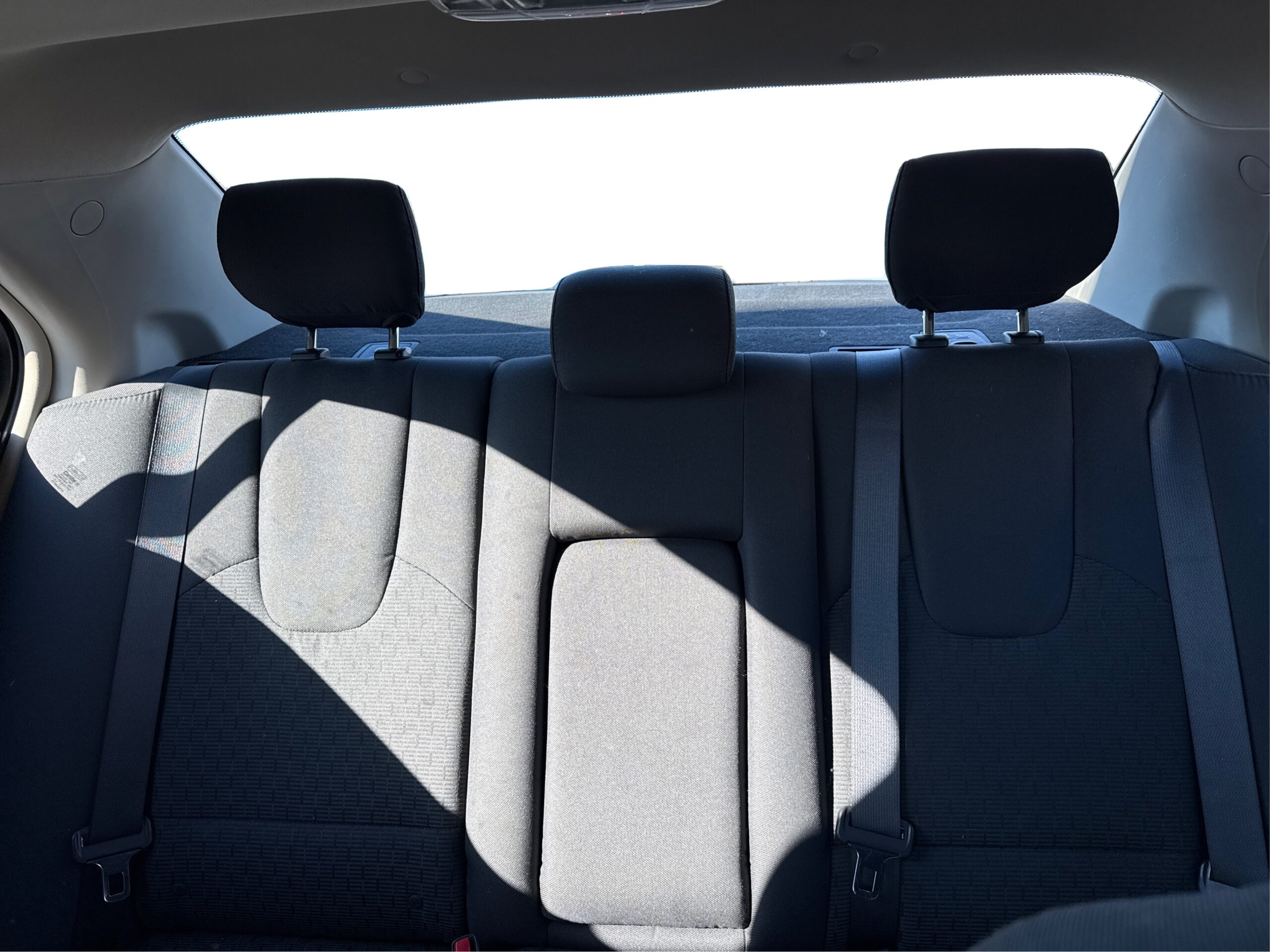 2_white_1768580559_in_001_2